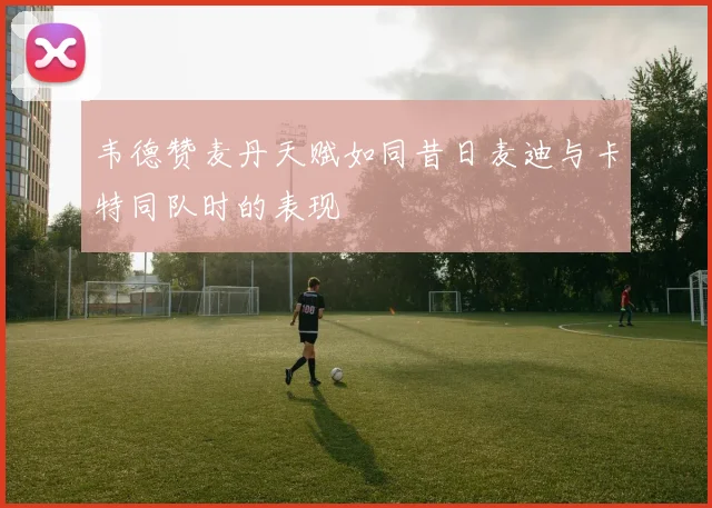 韦德赞麦丹天赋如同昔日麦迪与卡特同队时的表现